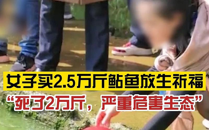 澳门最精准免费资料大全旅游景点和放生2.5万斤外来鲇鱼与放生鲇鱼的功德